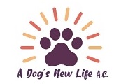 A Dogs New Life